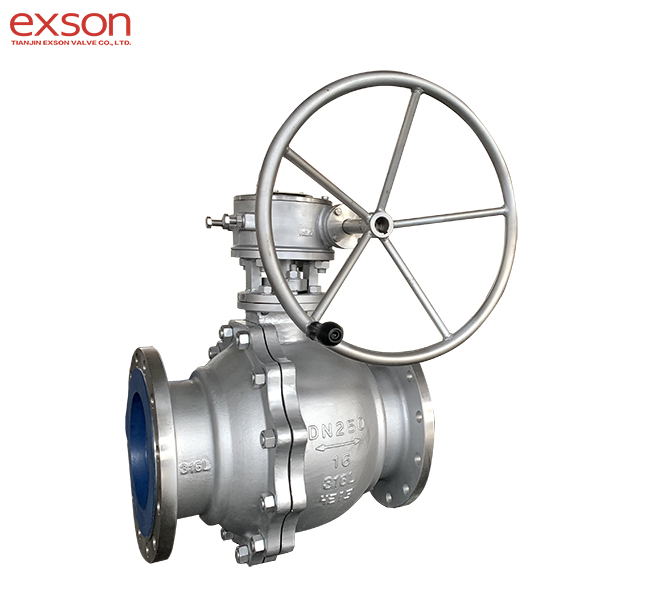SS316L Manual Ball Valve